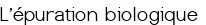 L'épuration biologique 